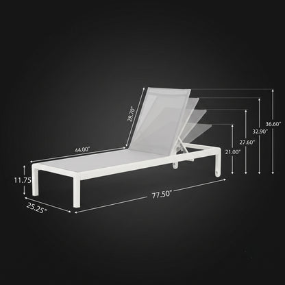 2-Piece Outdoor Aluminum Chaise Lounge Chair Set